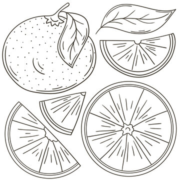 Set of vector illustrations in hand drawn style. Coloring poster with fruits © bubushonok
