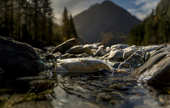 stream in the mountains with sones