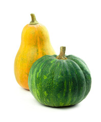 Pumpkin plant. Growing pumpkins. Orange, green , yellow pumpkin. harvest. Colorful vegetables.fall food .Autumn