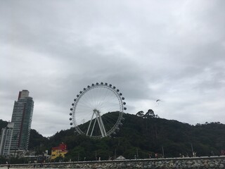ferris wheel in the city