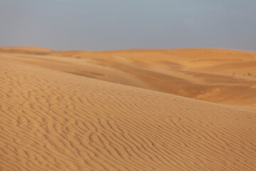 Fototapeta na wymiar Texture of Sand dunes in the desert