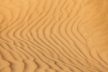 Texture of Sand dunes in the desert