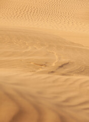 Fototapeta na wymiar Texture of Sand dunes in the desert