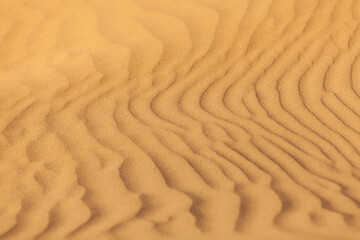 Texture of Sand dunes in the desert