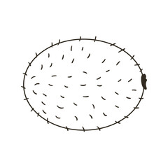 Coloring Illustration in hand drawn style. Children's drawings