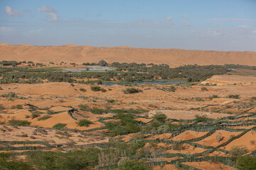 Fototapeta na wymiar Oasis in the desert, Laayoune Morocco 