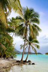 View Bora Bora from motu in French Polynesia,  