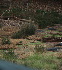 paisaje, cielo, mar, monta&ntilde;a, luz, atardecer, colores