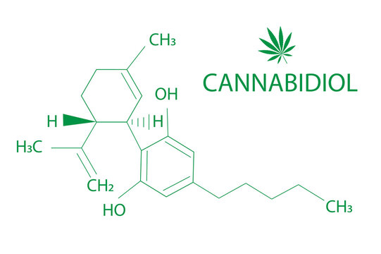 Cannabis leaf of Sativa with formula cannabidiol