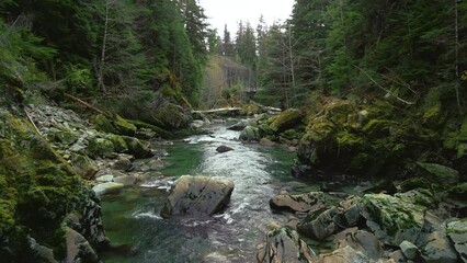 Travelling down a creek through a forest in northwestern BC