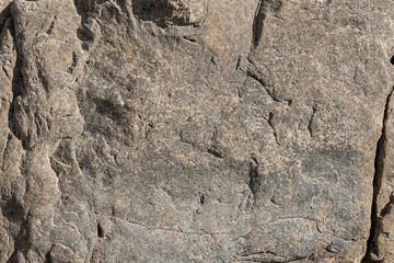 Textural stone background is gray with dark patterns and spots. Stone wall is gray with uneven bulges and cracks.