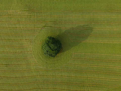A drone shot of a tractor turning grass, Malham, UK
