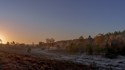 Herbst in der L&uuml;neburger Heide 