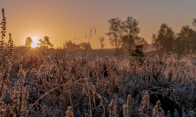 Herbst in der L&uuml;neburger Heide 