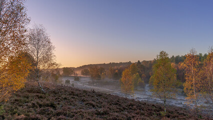Herbst in der L&uuml;neburger Heide 