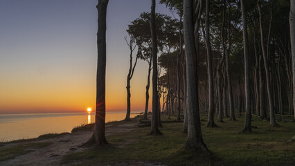 Gespensterwald Nienhagen 