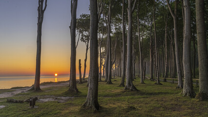Gespensterwald Nienhagen 