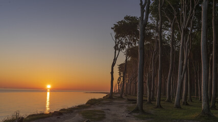 Gespensterwald Nienhagen 