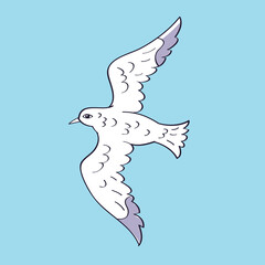 Flying seagull bird vector illustration