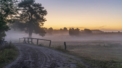 L&uuml;neburger Heide im Nebel