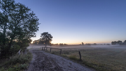 L&uuml;neburger Heide im Nebel 