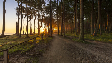 Gespensterwald Nienhagen