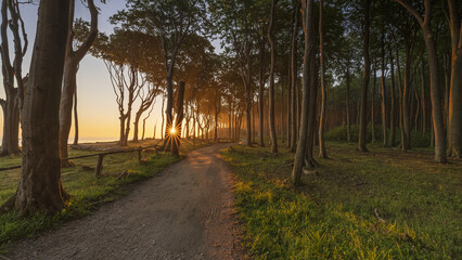Gespensterwald Nienhagen 