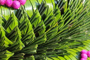 Banana leaves folded together. Close-up of green banana leaves folded and stacked in several layers to decorate the base of the Krathong during the Thai Loy Krathong Festival. selective focus