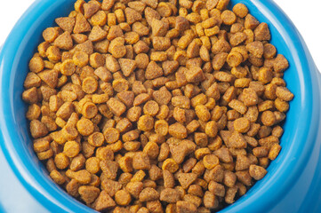 Dry food croquettes for cats or dogs in a blue bowl. Food for animals, pets.