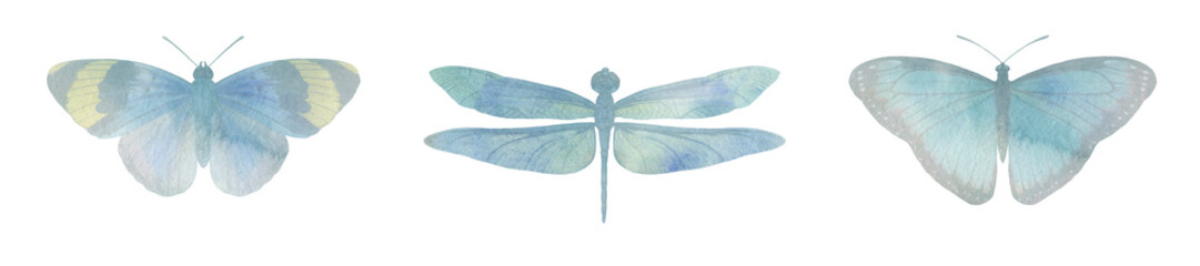 Fototapeta na wymiar set of watercolor butterflies and dragonfly. collection of butterflies for design