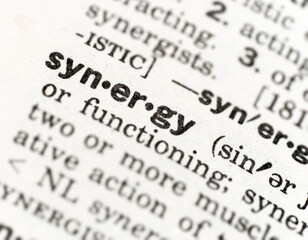 definition of the word synergy in dictionary