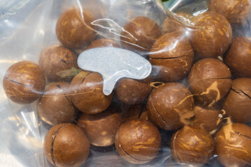 Macadamia nut in shell with opener. Background with selective focus and copy space