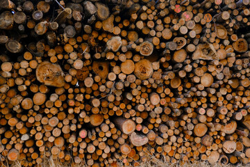 Wooden Logs.Heating season.solid fuel. Tree Trunks For Heating.Dry Chopped Firewood Logs In A Pile. Large Log Woodpile.Shredded And Stacked