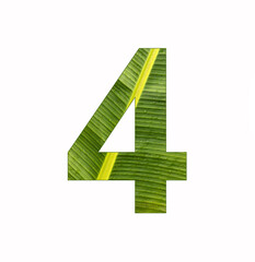 Fototapeta premium Number 4, digit on banana plant leaf background