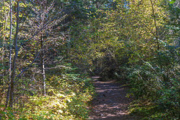 Obraz premium Bass Creek