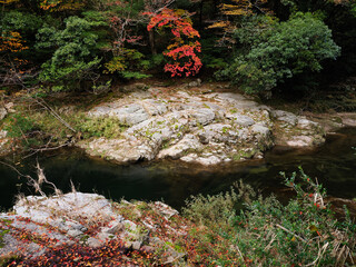 渓谷　奥津渓　岡山県　奥津温泉　紅葉