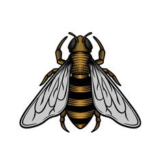 Honey bee. Hand drawn engraving vintage style illustrations, vector. Good for logo, icon, label, product,  honey farm, beekeeper etc.