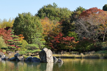 秋の公園の風景