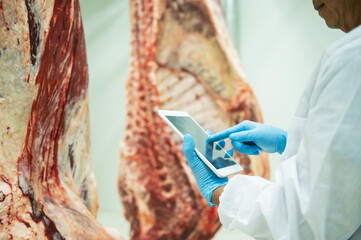 A wagyu butcher holding a tablet, inspects the parts, counts the stock of Japanese wagyu beef....