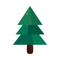 pine tree icon