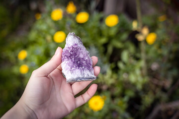 Woman holding a raw amethyst druse in hand, nature background
