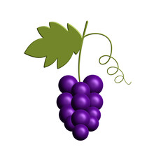 3d image of purple grapes with leaf