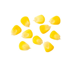 Corn seeds isolated on transparent png