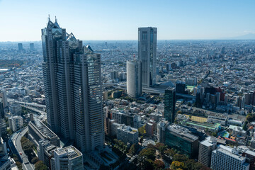 Fototapeta premium 東京 新宿 高層ビルからの風景