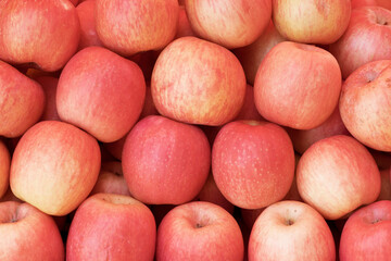 group red apples fruit background