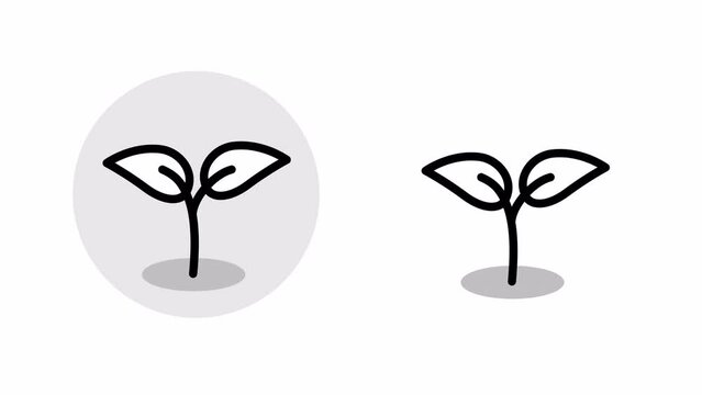 Icon animation of a plant growing up. Animation with a luma matte. 