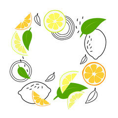 Vector background with citrus fruit and leaves. Modern trendy graphic style.	