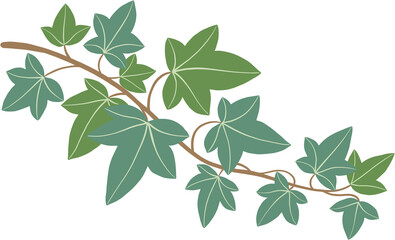 Simplicity ivy freehand drawing
