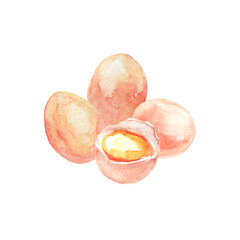 Fototapeta premium 水彩で描いた卵と卵黄のイラスト