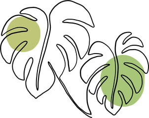 Fototapeta premium simplicity monstera leaf freehand continuous line drawing